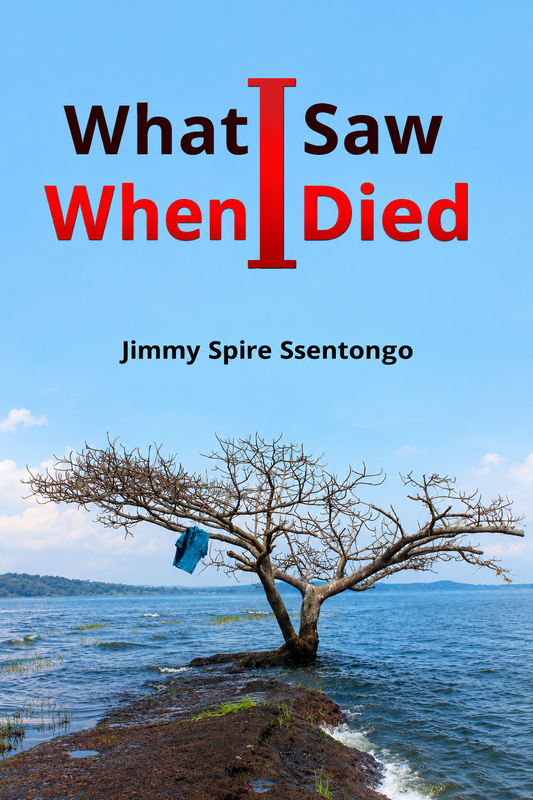 What I Saw When I Died by Jim Spire
